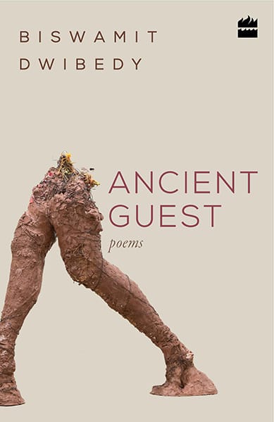 Ancient Guest