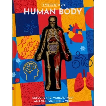 Inside Out Human Body Explore The Worlds Most Amazing Machine You!