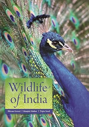 Wildlife Of India 18 (princeton Pocket Guides, 18)