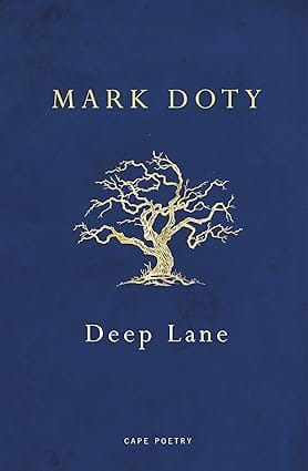 Deep Lane