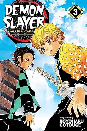 Demon Slayer Kimetsu No Yaiba, Vol. 3