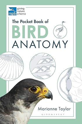 The Pocket Book Of Bird Anatomy