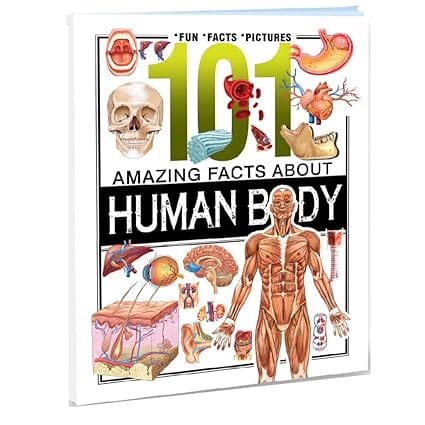 101 Facts Human Body