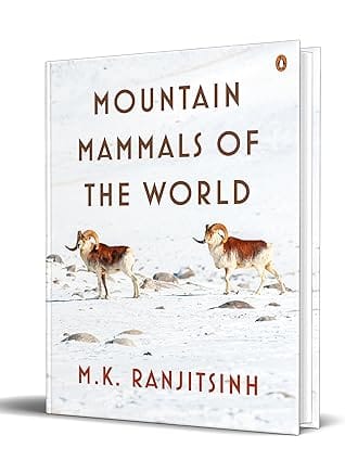 Mountain Mammals Of The World