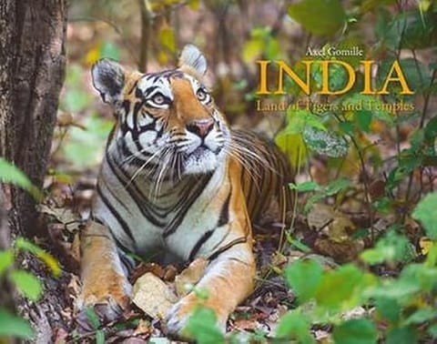 India Land Of Tigers And Temples