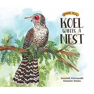 Koel Wants A Nest