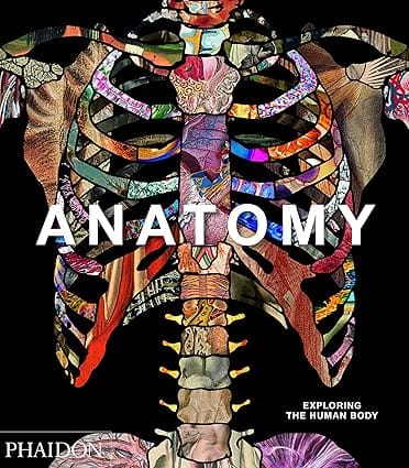 Anatomy Exploring The Human Body