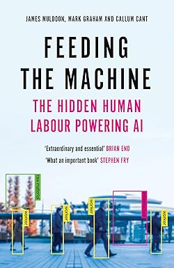 Feeding The Machine The Hidden Human Labour Powering Ai