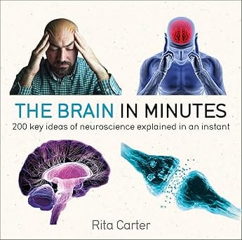 The Brain In Minutes 200 Key Ideas Of Neuroscience Explained In An Instant